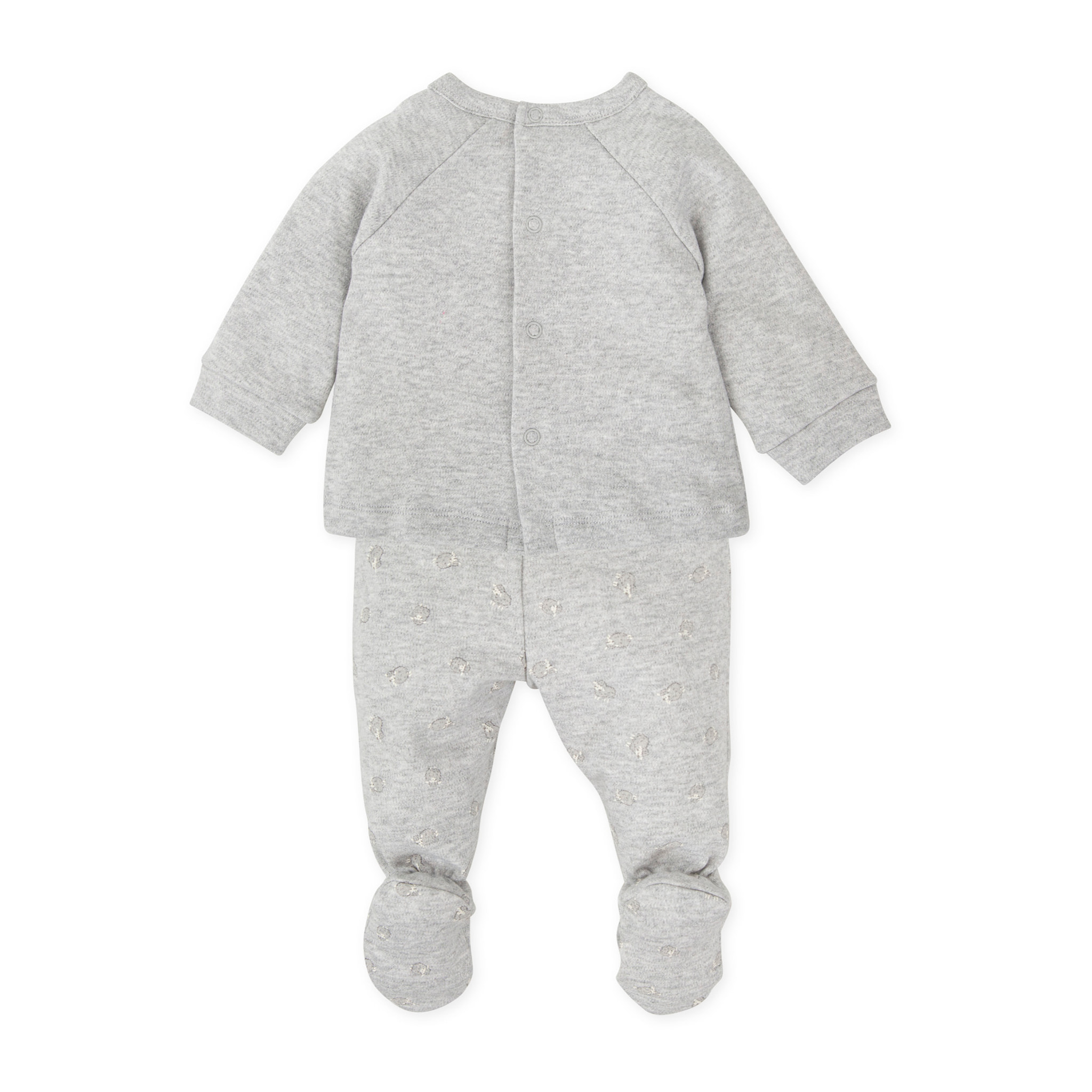 JESUSITO GRIS - Gris