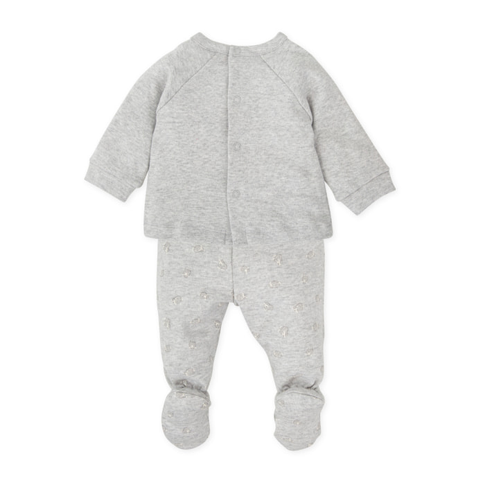 JESUSITO GRIS - Gris