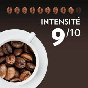 Café Grains Maestro Bio 1kg certifié Bio 100% arabica