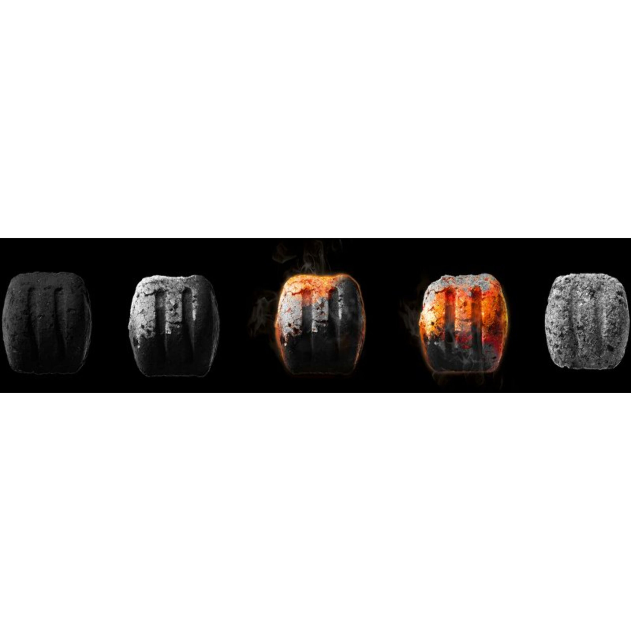 Briquette de charbon WEBER 8kg FSC