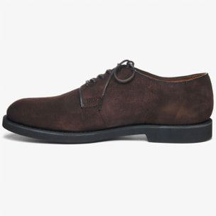 Scarpe allacciate Sebago Uomo Marrone WINTHROP SUEDE