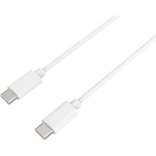 Chargeur secteur ESSENTIELB chargeur 20W + cable USB-C / USB-C blanc