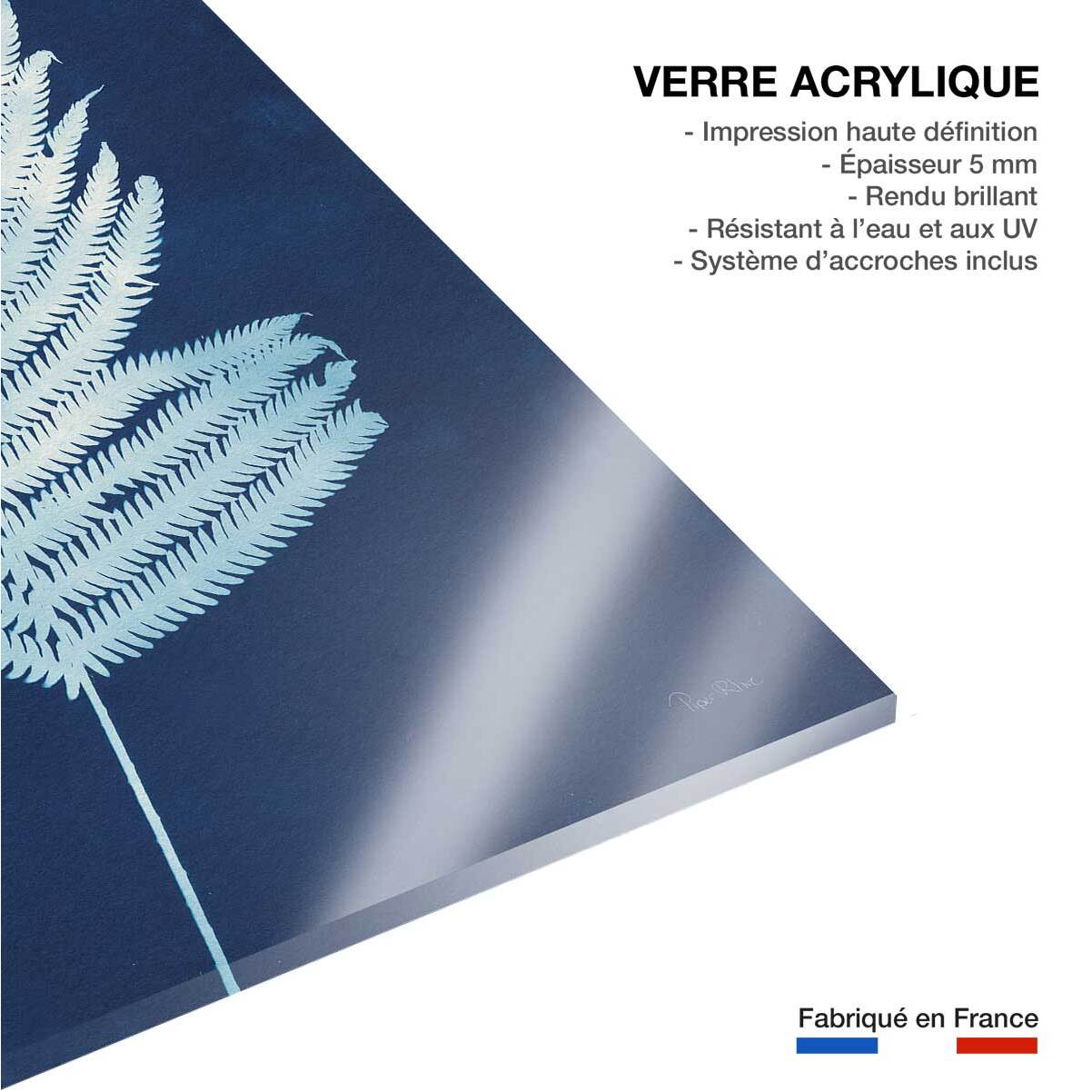 Tableau fleurs Fougère d'argent Tableau plexiglas