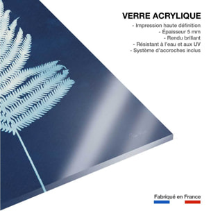 Tableau fleurs Fougère d'argent Tableau plexiglas