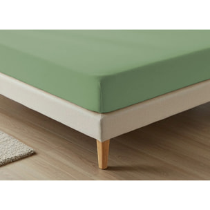 Lenzuolo Sotto Con Angoli No Stiro Tinta Unita Francesca Salvia