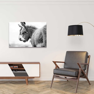 Tableau têtus comme deux ânes Tableau alu Dibond