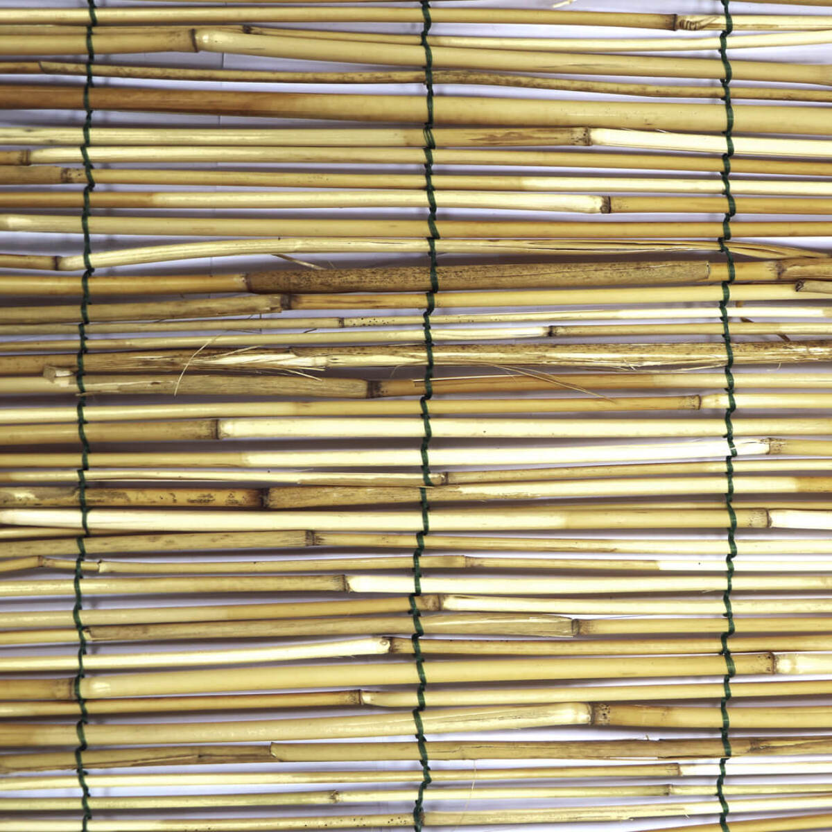 Estor Bambu Pelado Varias Medidas
