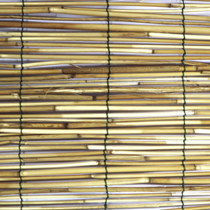 Estor Bambu Pelado Varias Medidas