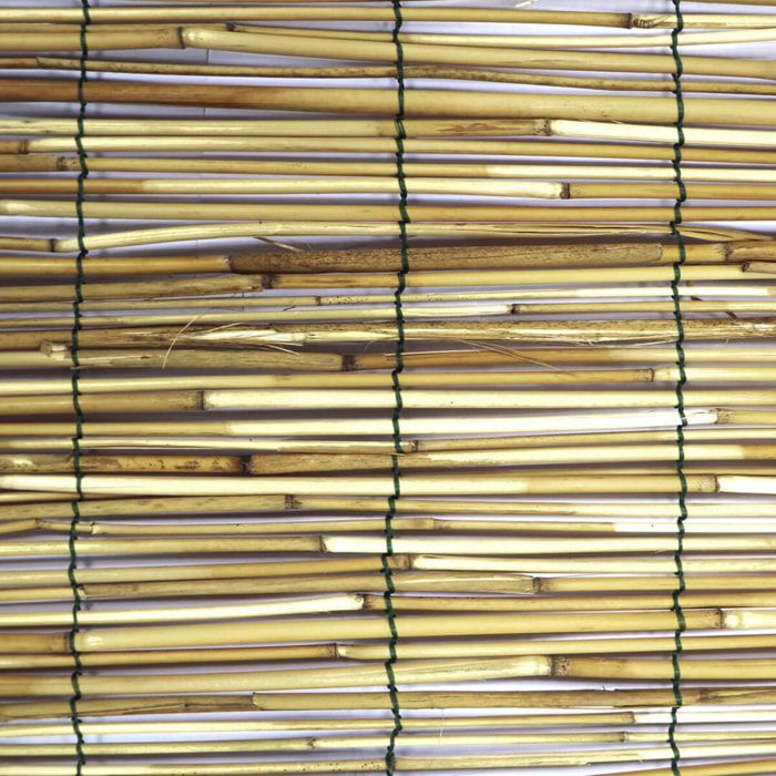 Estor Bambu Pelado Varias Medidas
