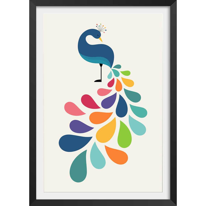 Affiche  paon coloré Affiche + cadre en bois - Noir
