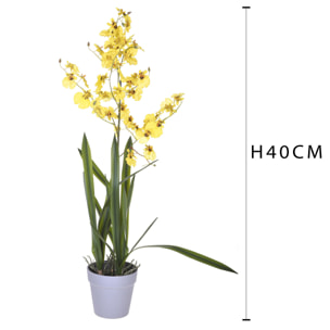 Orchidea Oncidium Con Vaso. Altezza 40 Cm - Pezzi 1 - 16X40X14cm - Colore: Giallo - Bianchi Dino - Piante Artificiali