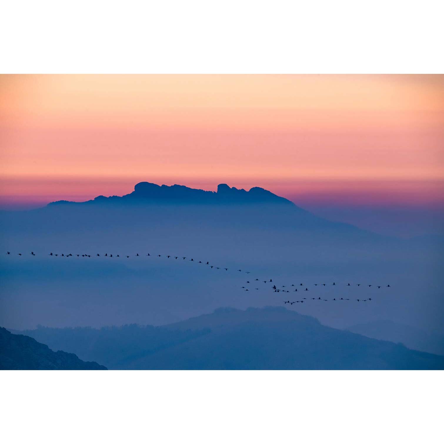 Tableau pays basque euskadi  Tableau plexiglas