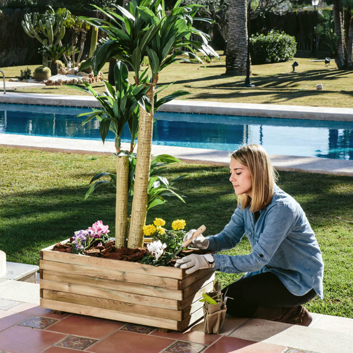 Jardinera Rectangular 70x30 Cm