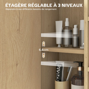 Armoire miroir murale salle de bain - 6 niches, porte, étagère - acier noir effet bois