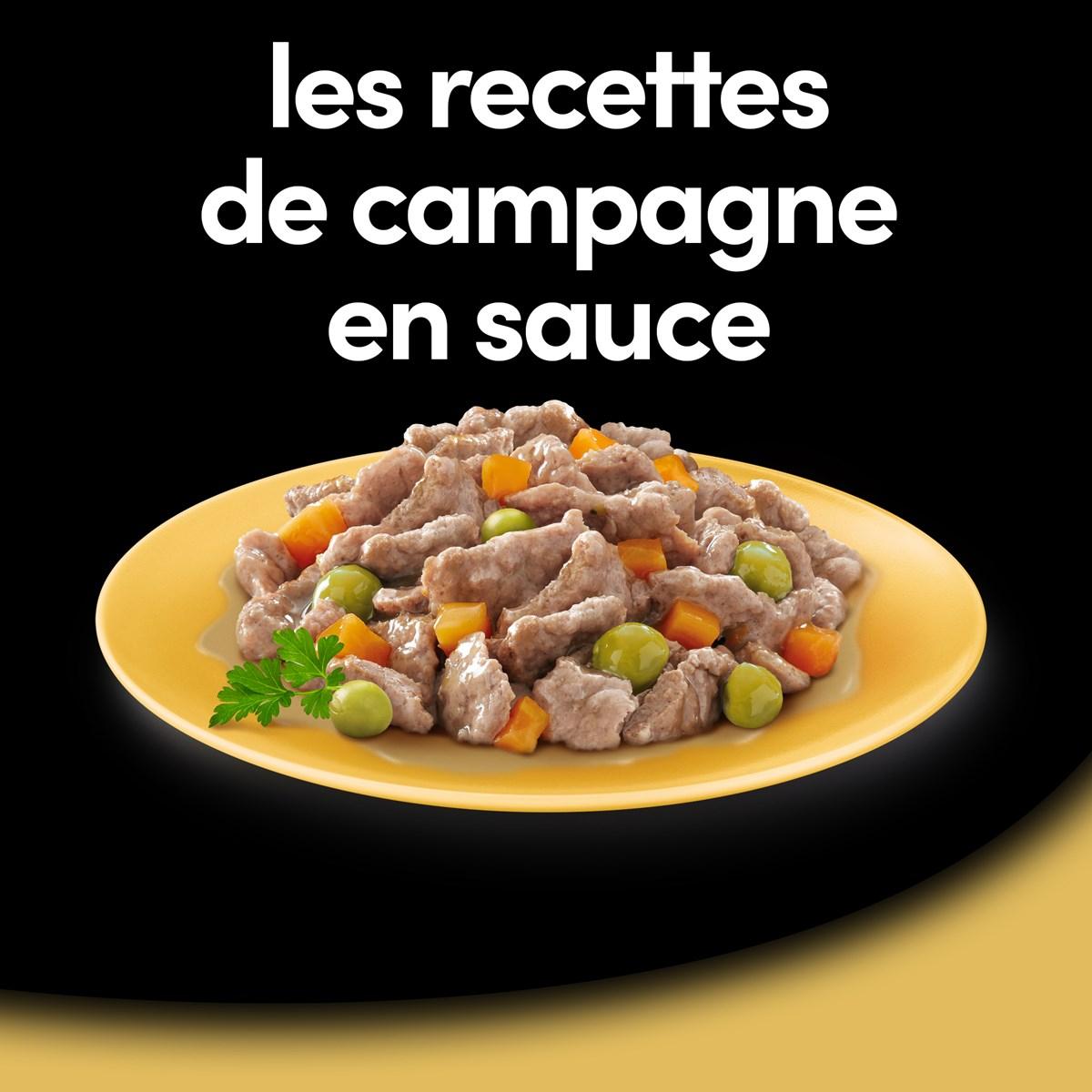 CESAR 32 Barquettes en sauce 4 variétés pour chien 150g (8x4)