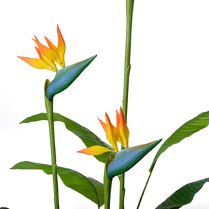 Bird of Paradise - Pianta Artificiale in vaso H160 cm