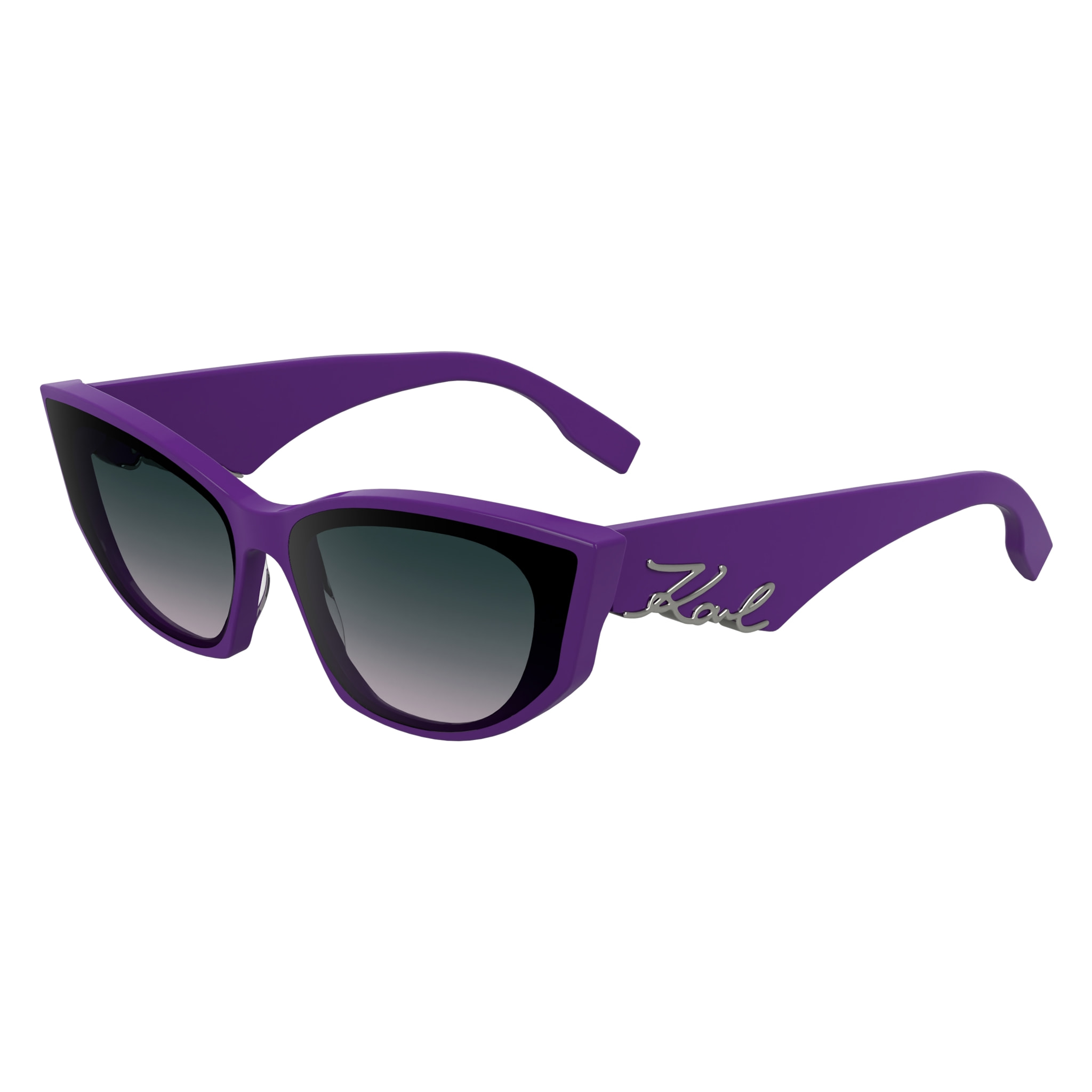 Gafas de sol Karl Lagerfeld Mujer KL6162S-541