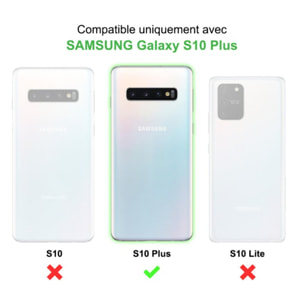 Coque Samsung Galaxy S10 Plus Noire Silicone liquide + 2 Vitres en Verre trempé Protection écran Antichocs