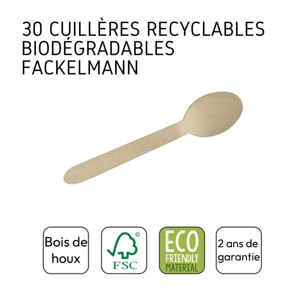 Lot de 30 cuillère à café en bois pour pique-nique Fackelmann Move