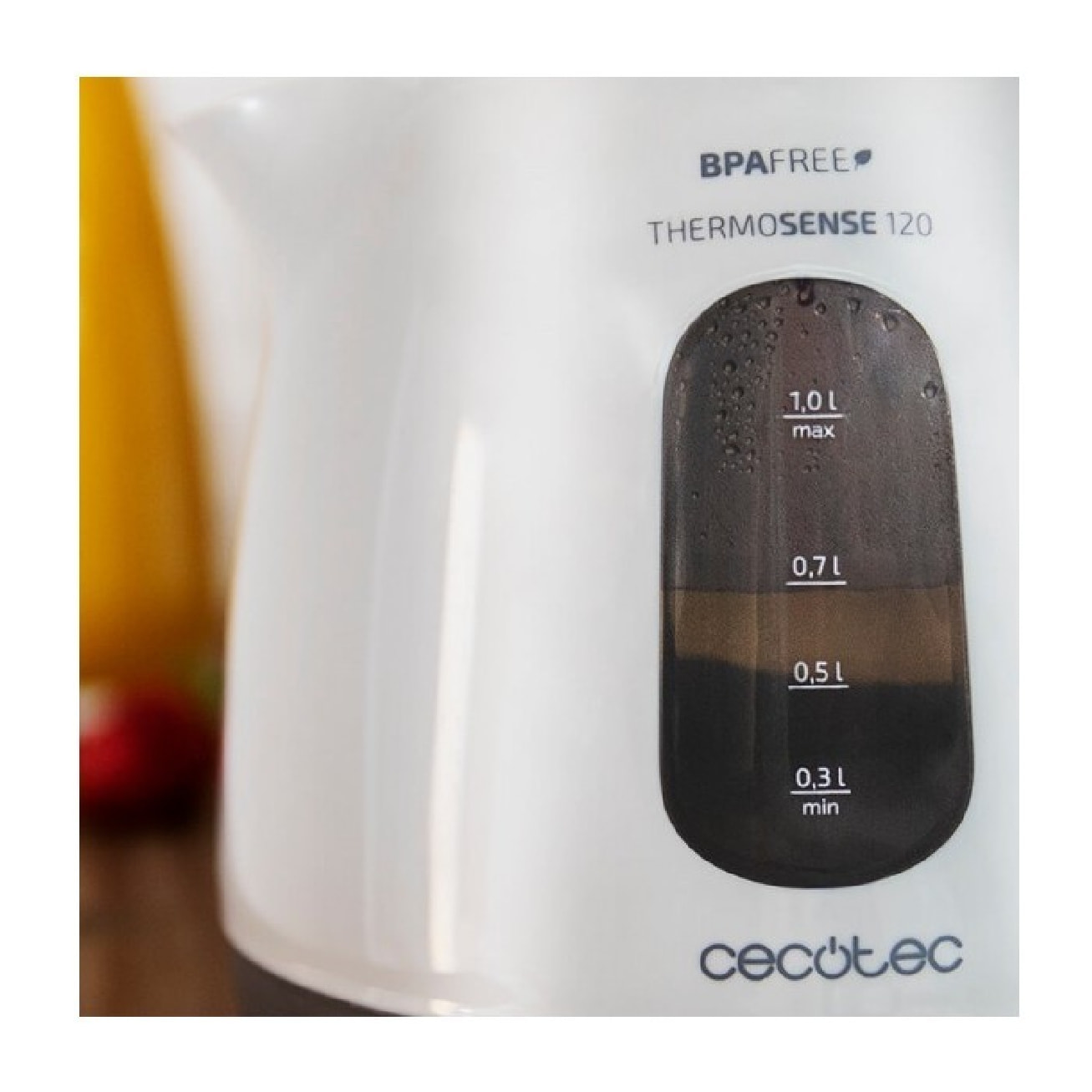 Bouilloire ThermoSense 120 Cecotec