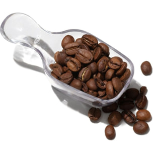 Cuillère OXO a cafe POP