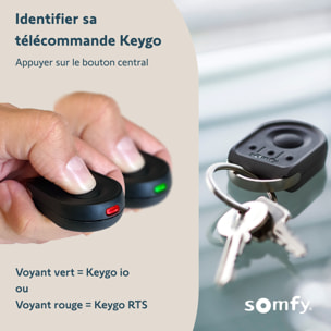 Télécommande Keygo RTS - Pour commander jusqu'à 4 moteurs de porte de garage ou portail RTS