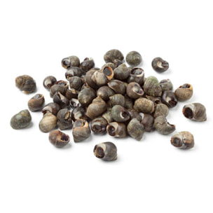 Bigorneaux cuits - 300g - Atlantique Nord Est