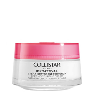 Idroattiva + - Crème Hydratation Profonde 50 ml