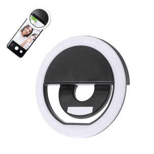 Anello di Luce Picmont.