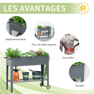 Jardinière sur pieds potager dim. 104L x 39l x 80H cm étagère 2 roues + insert d'irrigation métal gris
