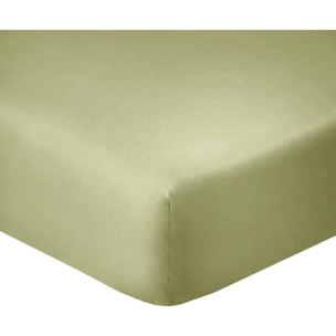 Drap housse coton verveine