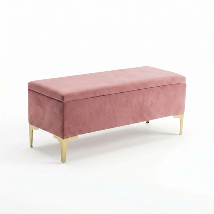 Panca Contenitore in Effetto Velluto con Ampio Vano Portaoggetti, Seduta Imbottita e Gambe in Acciaio, Design Moderno per Camera da Letto, Ingresso e Soggiorno