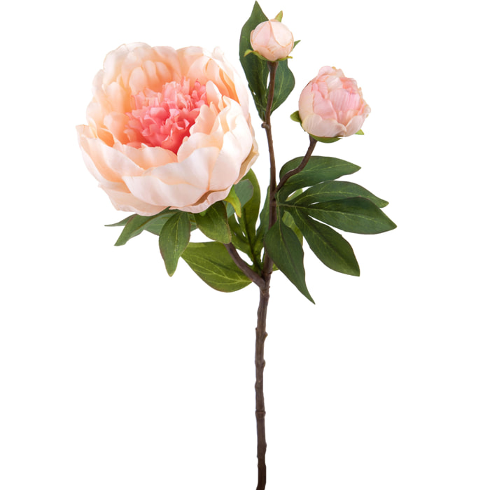 Peonia Romance Con 3 Fiori. Altezza 49 Cm - Pezzi 6 - 19X49X9cm - Colore: Rosa - Bianchi Dino - Fiori Artificiali