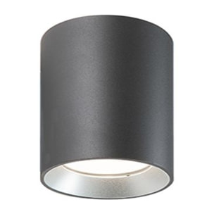 Show - Plafoniera Cilindrica Da Soffitto A Led 12W A Luce Fredda Colore Grigio