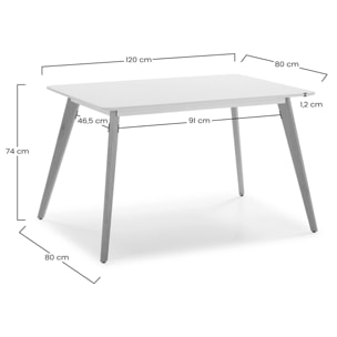 Juego de mesa 120x80 cm y 4 sillas de comedor Kana