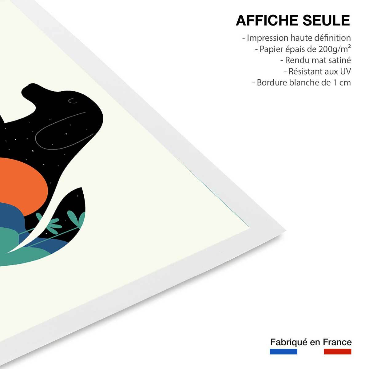 Affiche  belle et sebastien Affiche seule