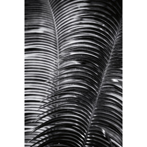 Tableau fleurs Sun palm Tableau alu Dibond