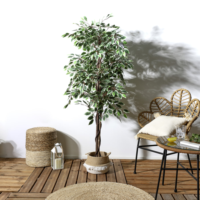Plante Artificielle Feuillage Panache 160cm