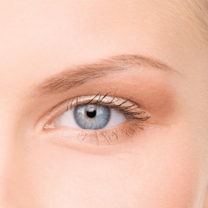 Palette Perfect Eyebrows - Kit Pour Sourcils