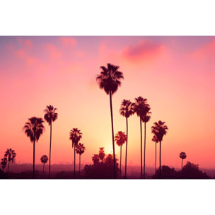 Tableau palmier rose ciel Toile imprimée