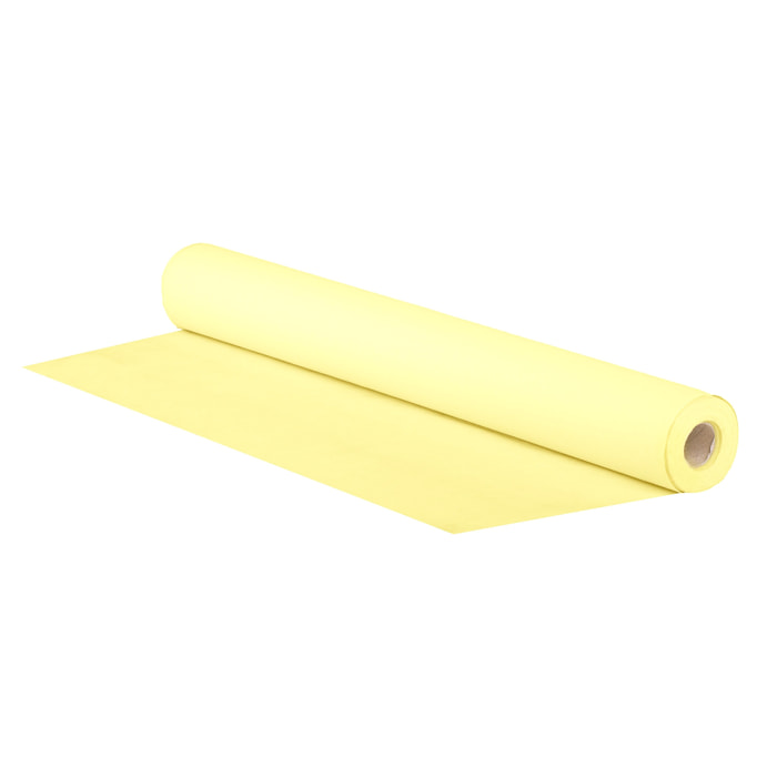 Carta Impermeabile - Pezzi 2 - 2000X50X0,2 - Colore: Bianco - Bianchi Dino - Decorazioni Varie