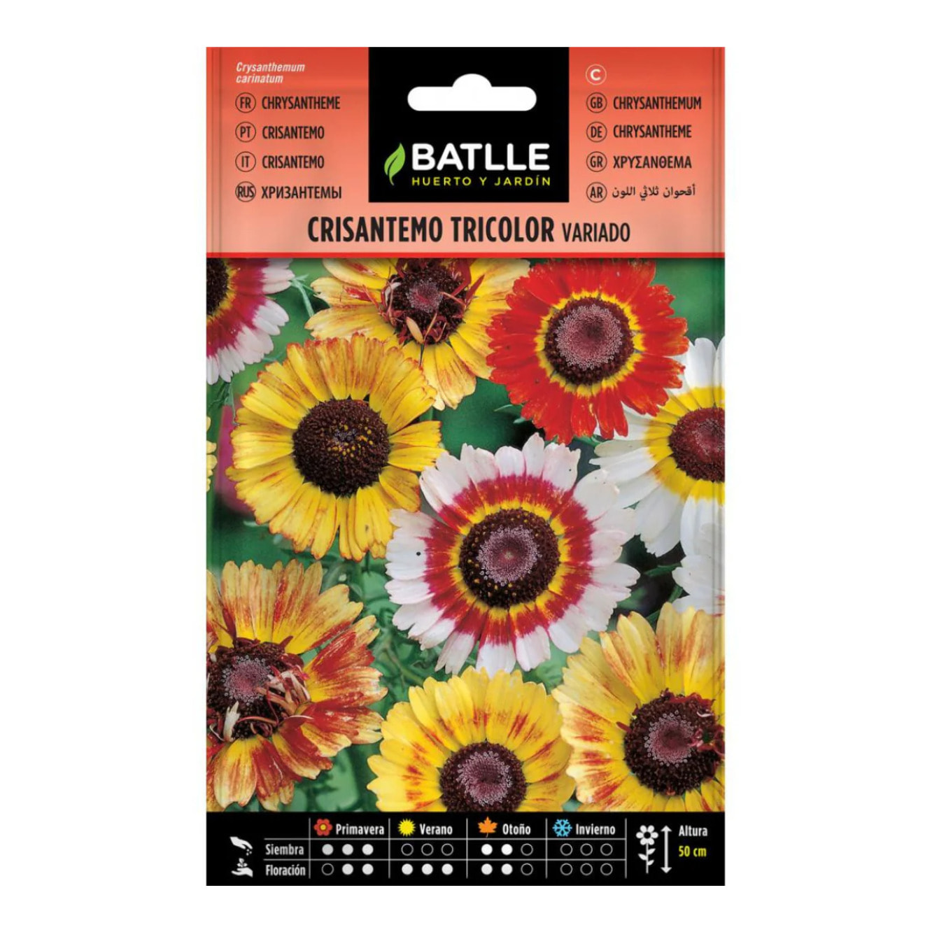 Semillas de Crisantemo tricolor variado Batlle