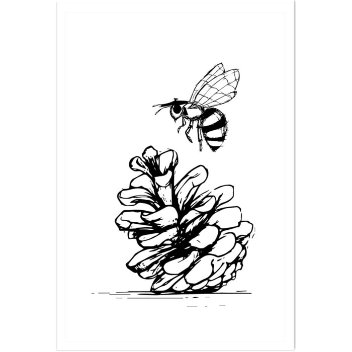 Poster pomme de pins et abeille Affiche seule
