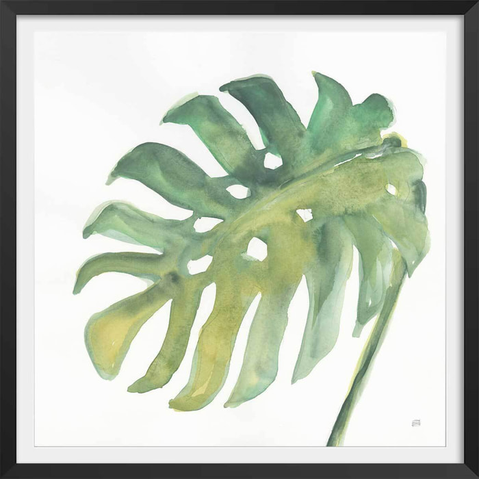 Affiche Plame watercolor Affiche sous cadre noir