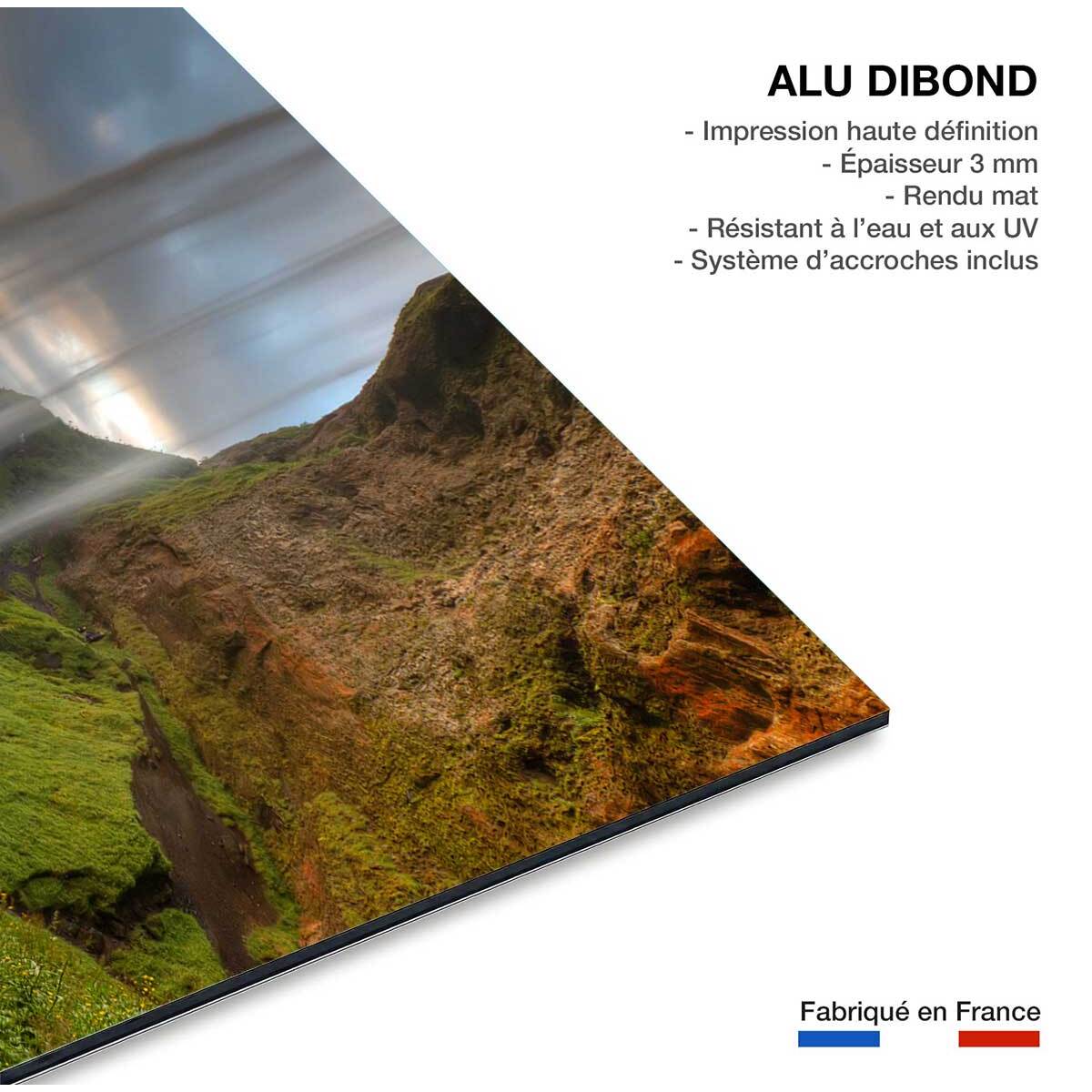 Tableau de Seljlandsfoss Tableau alu Dibond