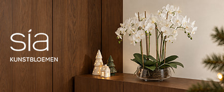 Sia deco_HPH