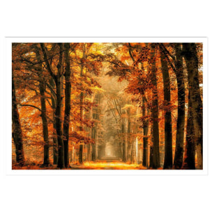 Affiche paysage magie de l' automne Affiche seule