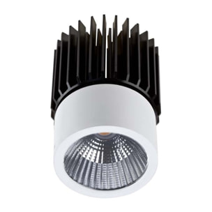 LEDS·C4 Downlight Play 13W 3000K Cri 80 Blanco Ip20 1296Lm