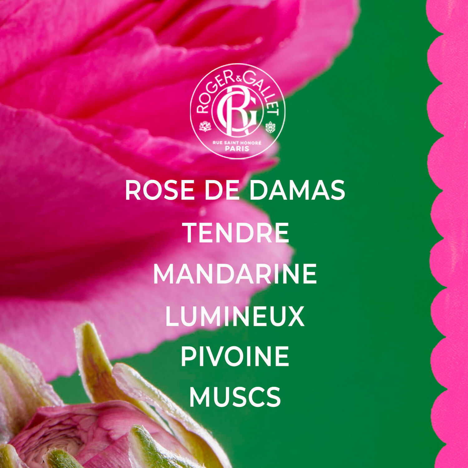 Rose - Parfum Solide Bienfaisant 5 g