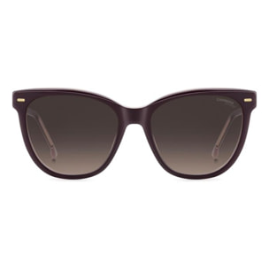 Gafas de Sol Carrera 3043/S 0T7 de Acetato Mujer 56 mm